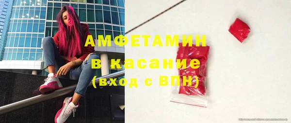 гидра Аркадак