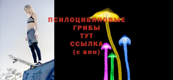мет Арсеньев