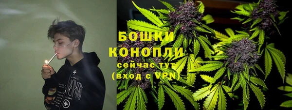 мет Арсеньев