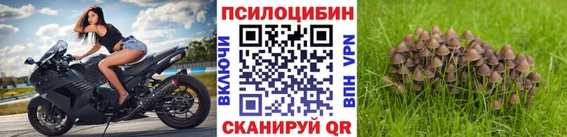 Галлюциногенные грибы Psilocybine cubensis  Остров 